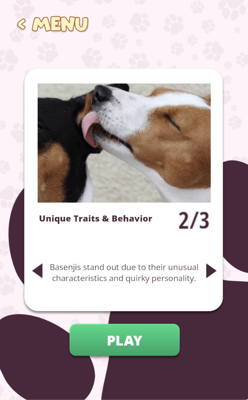 Basenji Match gameplay - cards featuring real Basenjis
