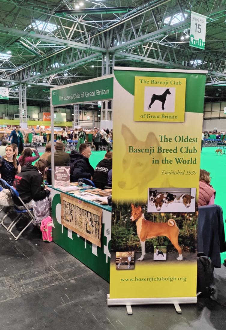 The Basenji Match game being played at Crufts